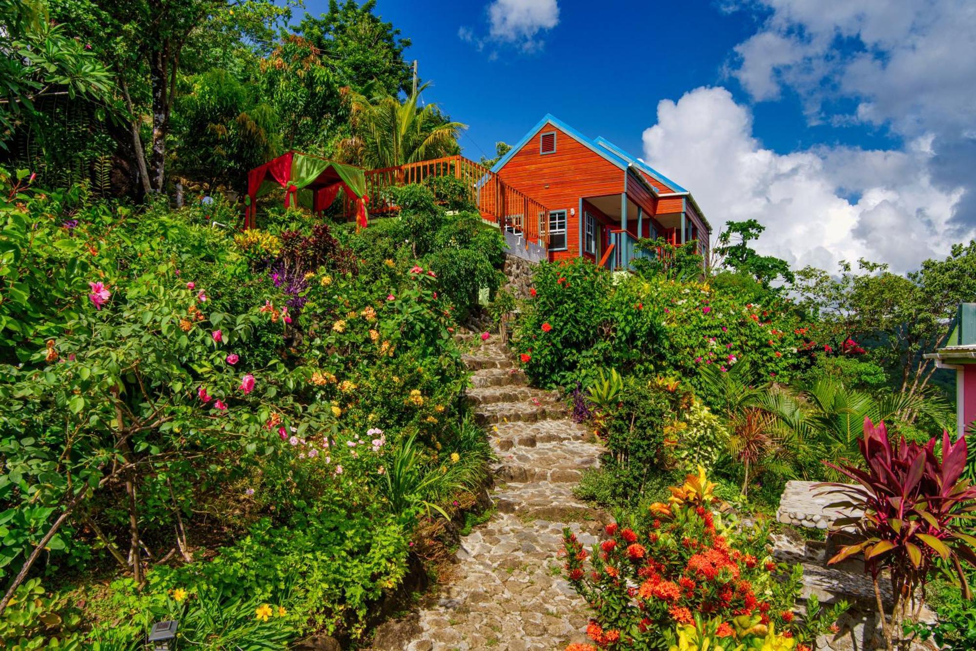Tropical Paradise View Anse La Raye المظهر الخارجي الصورة
